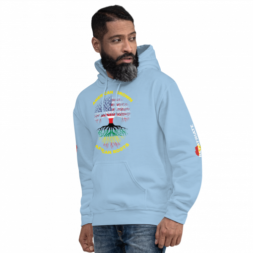 American Grown African Roots Unisex Hoodie - Image 48