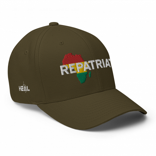 REPATRIATE (Africa RYG) Structured Twill Cap - Image 24