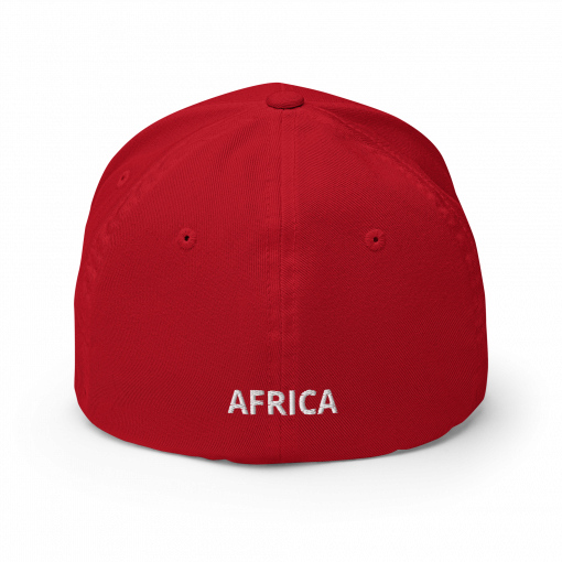 REPATRIATE (Africa RYG) Structured Twill Cap - Image 14