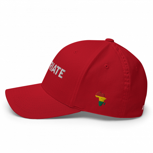 REPATRIATE (Africa RYG) Structured Twill Cap - Image 15